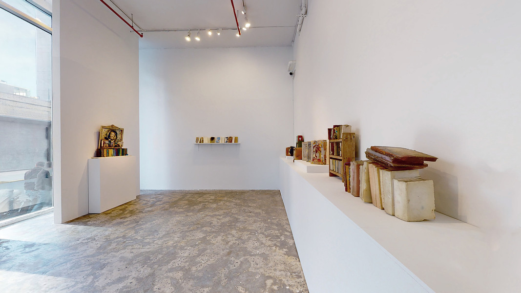 Installation View _ THESE BOOKS ARE PAINTINGS _ works by Stella Waitzkin
