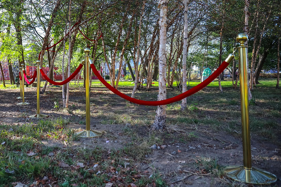 "Access Grove, Soft Stand" at Socrates Park 