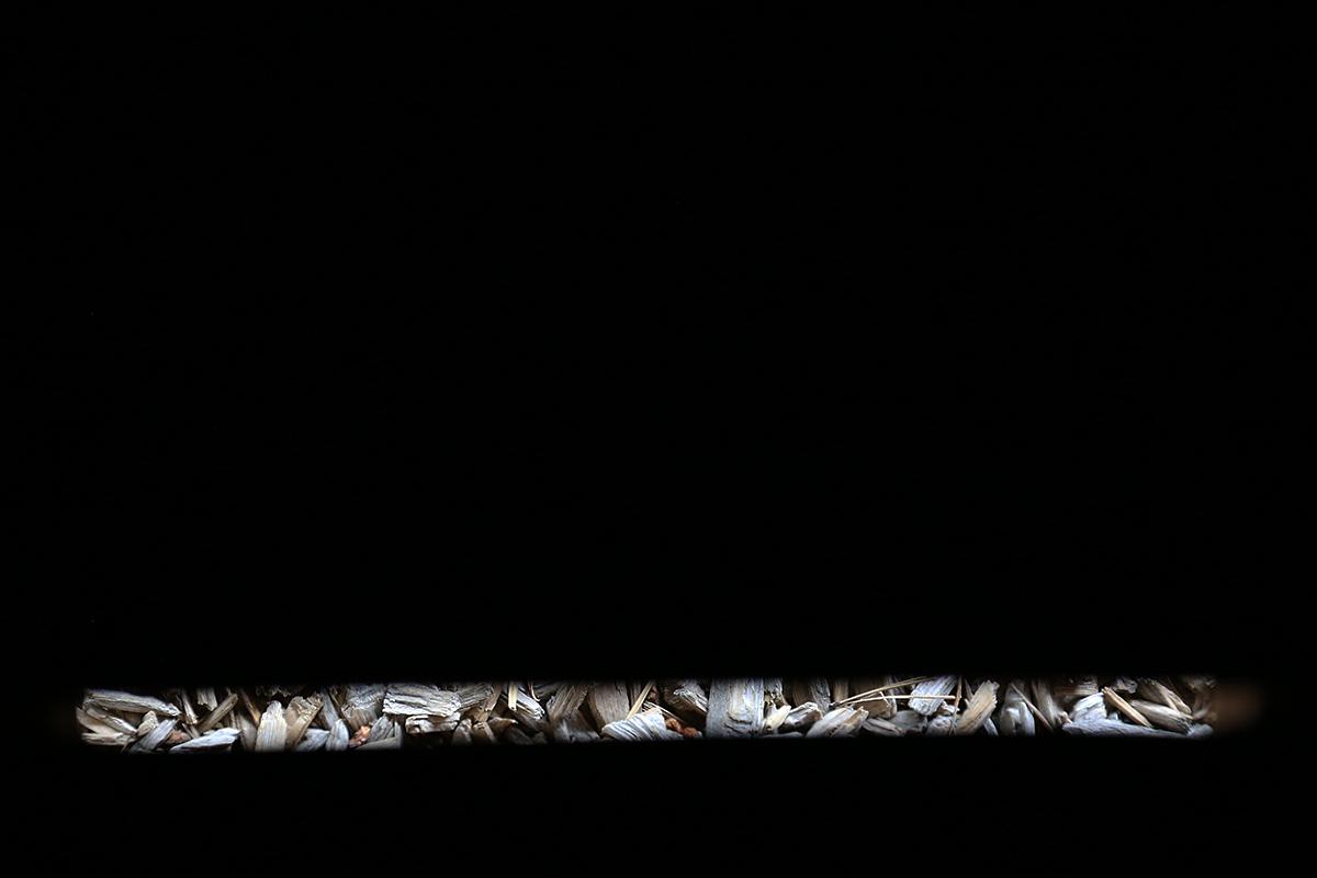 Projections, Extracted Architecture 1