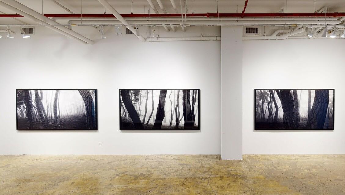 BAE BIEN-U INSTALLATION VIEW