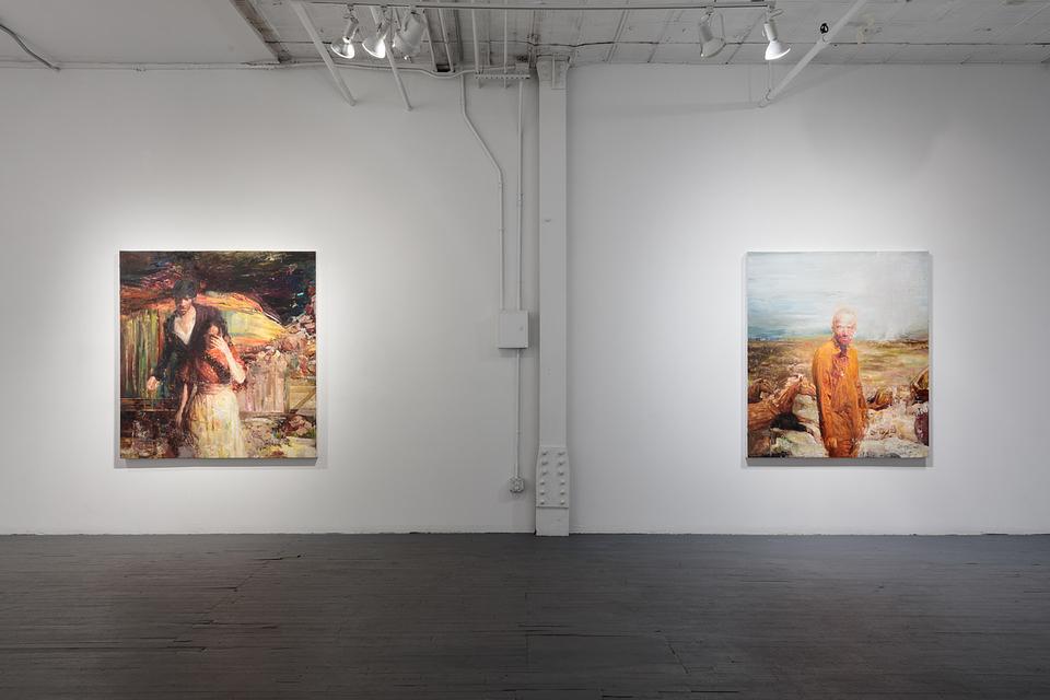 Dan Voinea: Installation View