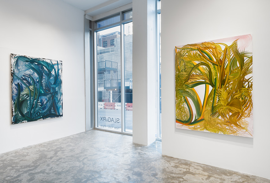 Installation View _ "Density of the Spell" _ SLAG&RX - New York _ 2025