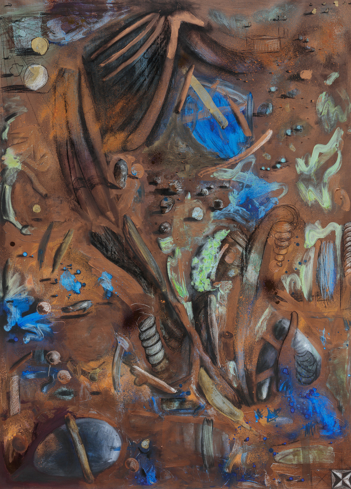  A Peacock’s Ode to Earth