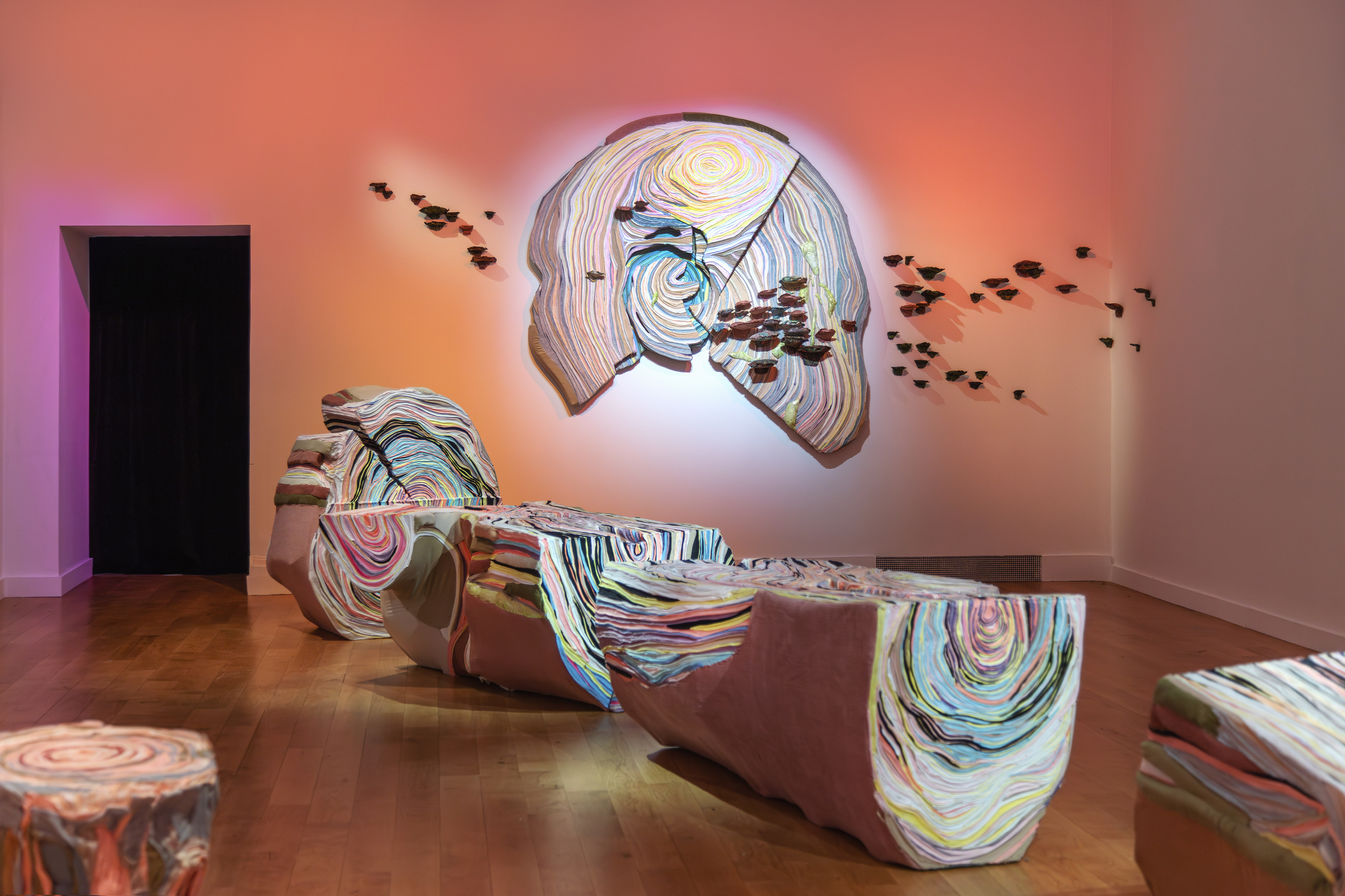 Installation View _ "La Chair du Monde" - Musée de la Chasse et de la Nature _ 2024