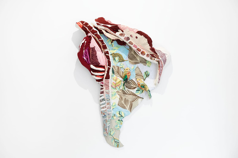 Tropical Abattoir, RX & SLAG Paris, Carnal Geography I (South America)