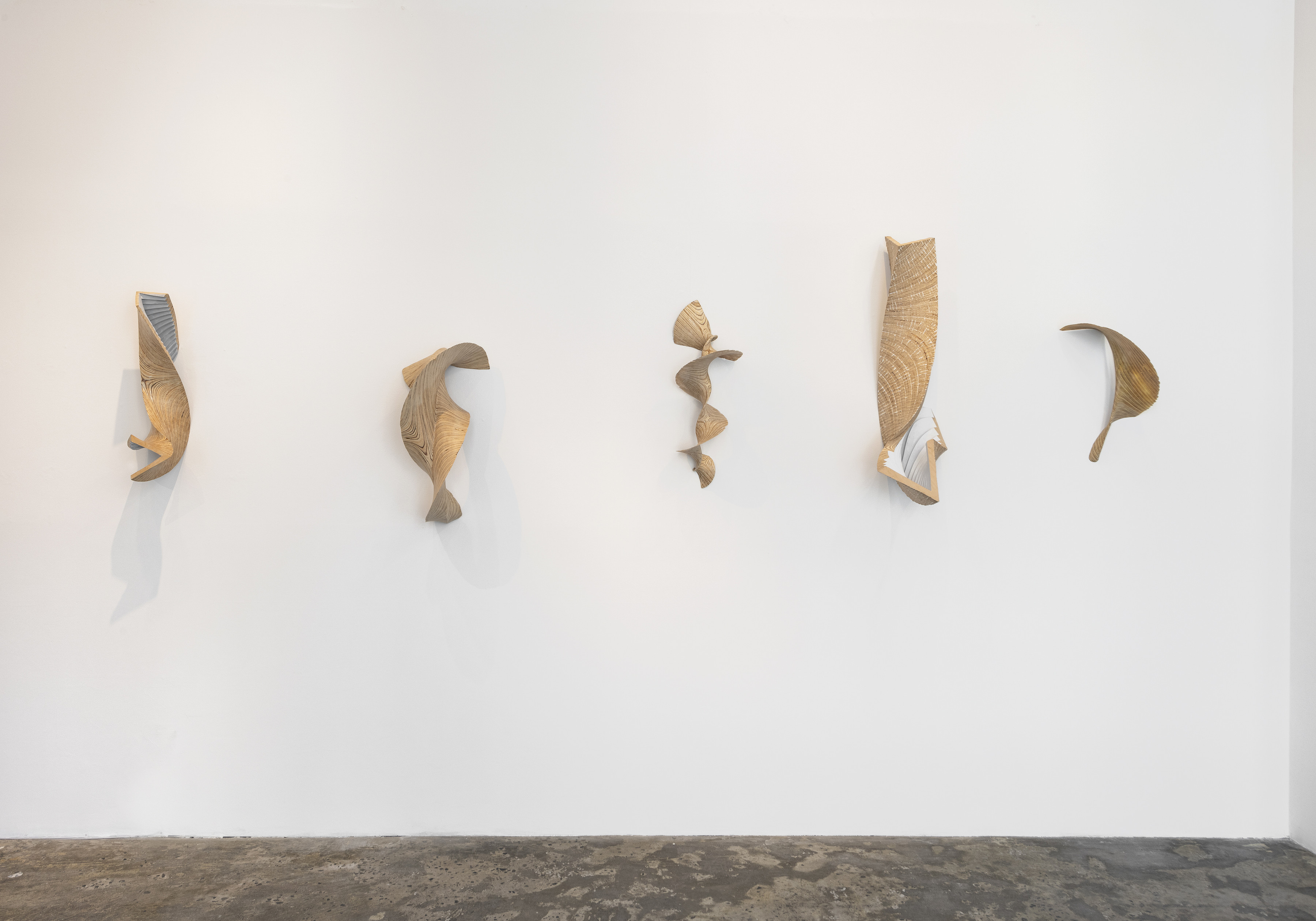 Disturbances_David Henderson_Installation View