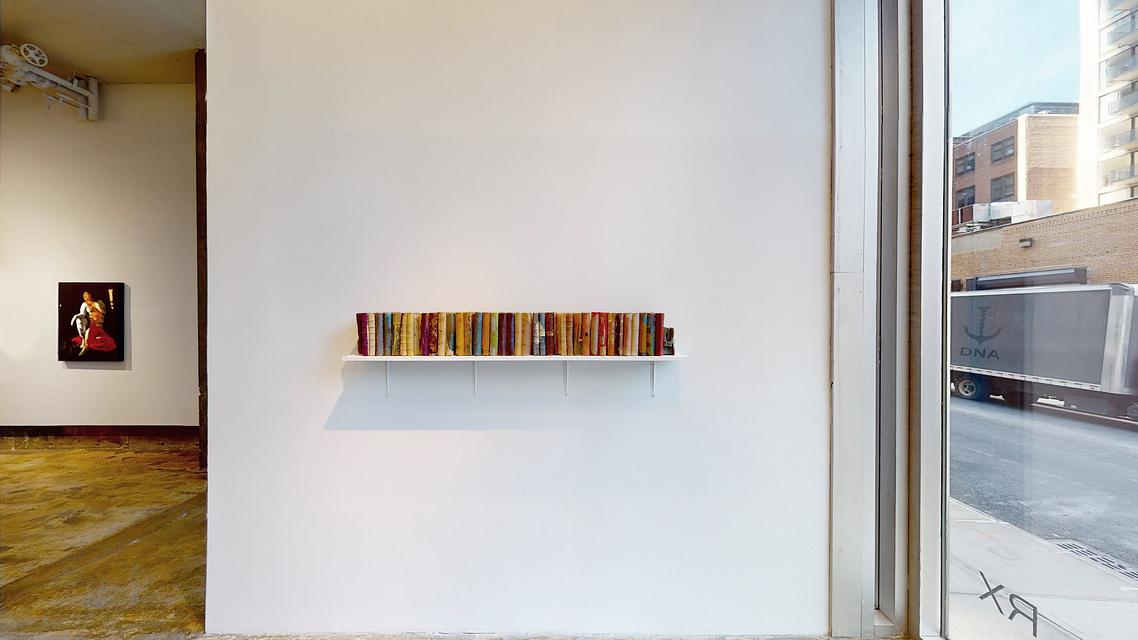 Installation View _ THESE BOOKS ARE PAINTINGS _ works by Stella Waitzkin