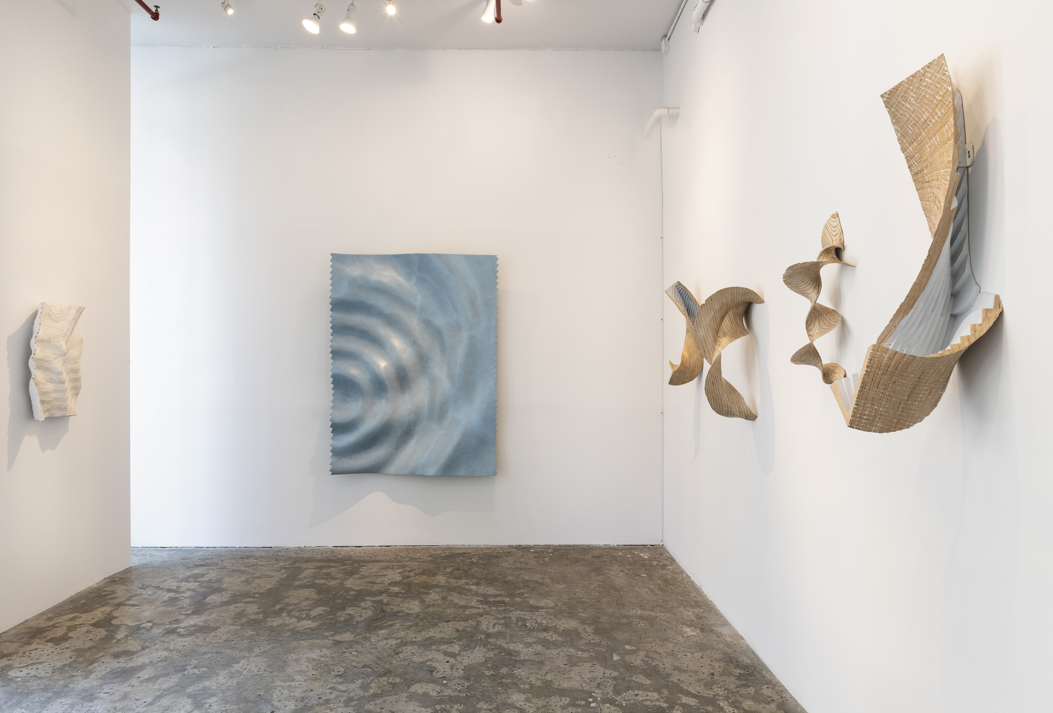 Disturbances_David Henderson_Installation View