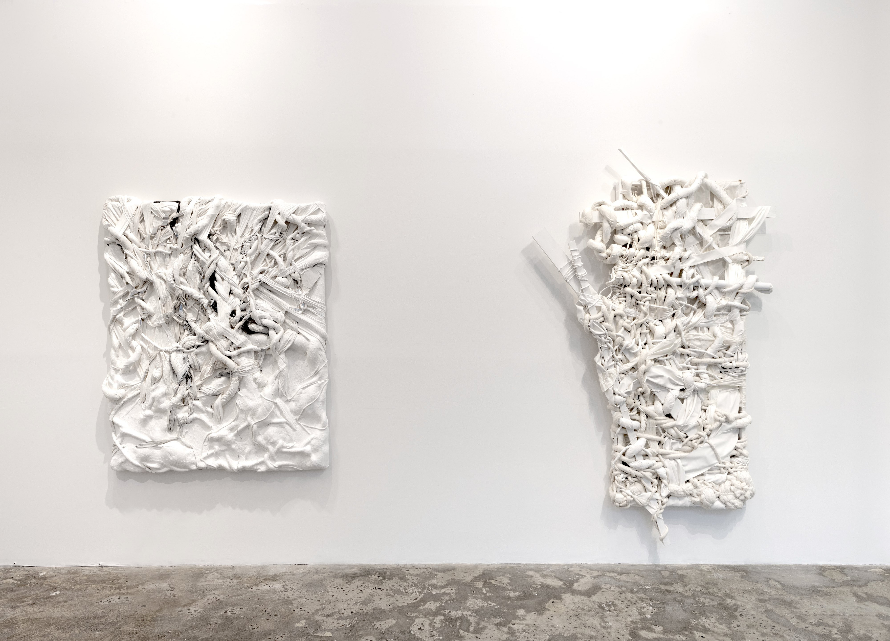 Installation View _ Coming Close _ works by Chellis Barid