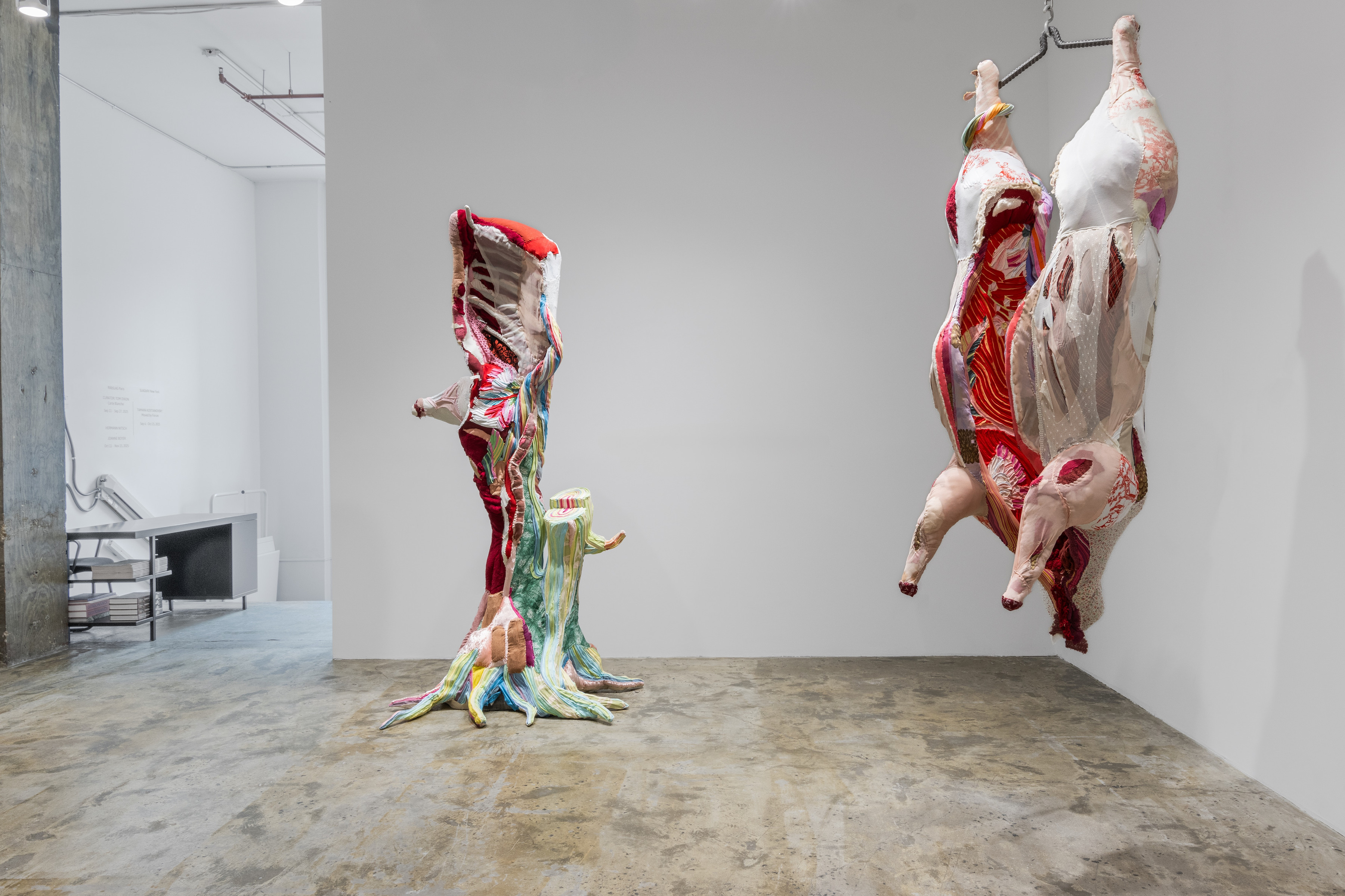 Installation View _ "Moved by Forces" _ SLAG&RX - New York _ 2025