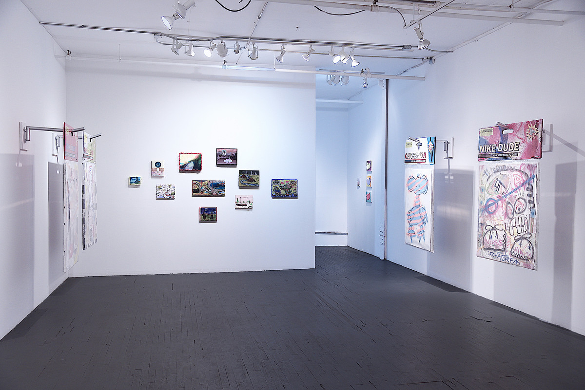 Installation View Sarah Fuhrman (back wall) and Chris D'Acunto lateral walls