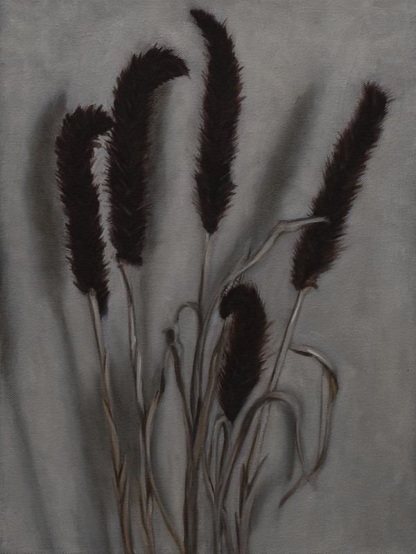 Still-life with Dried Flowers