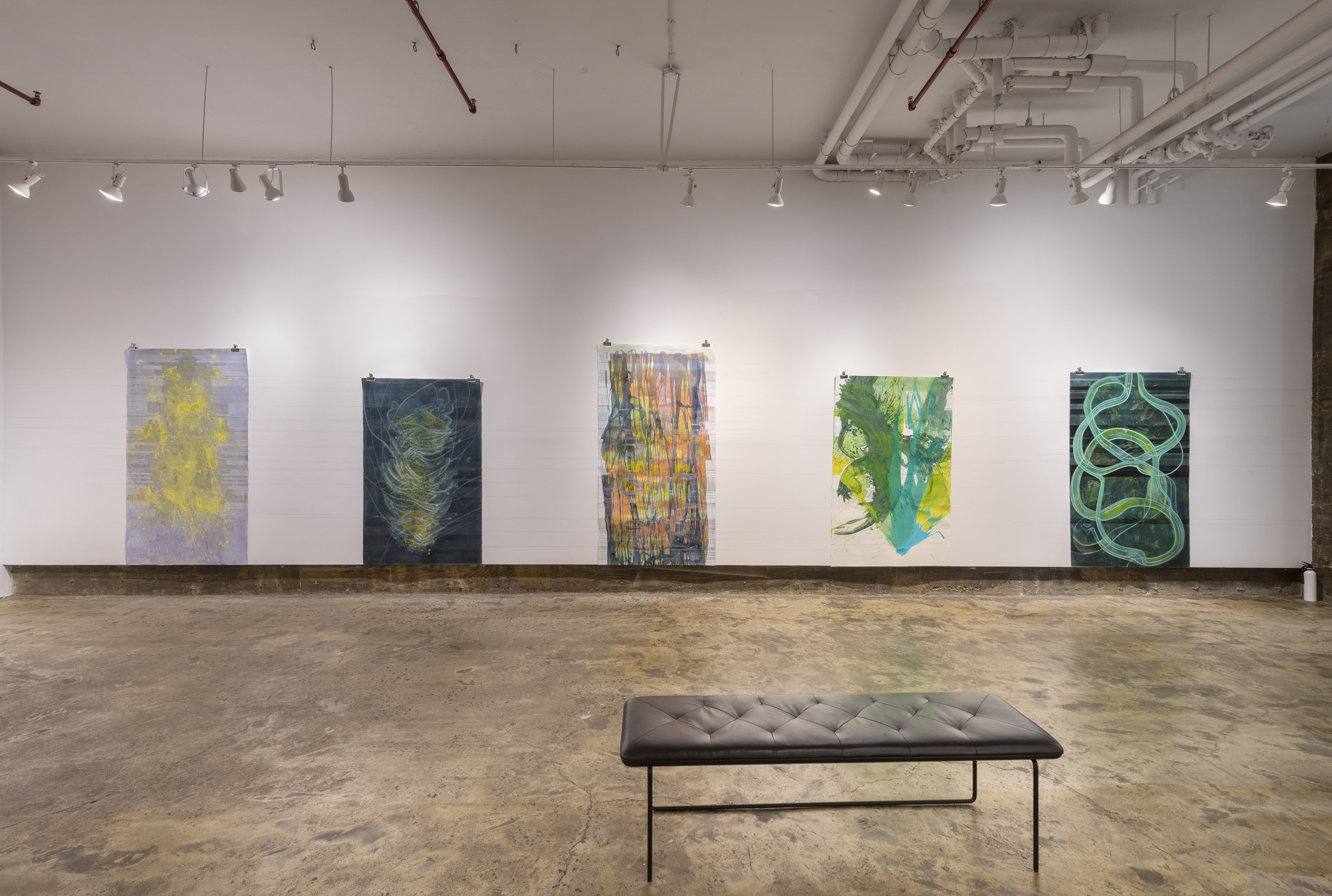 Installation View _ Coming Close _ works by Megan Dyer