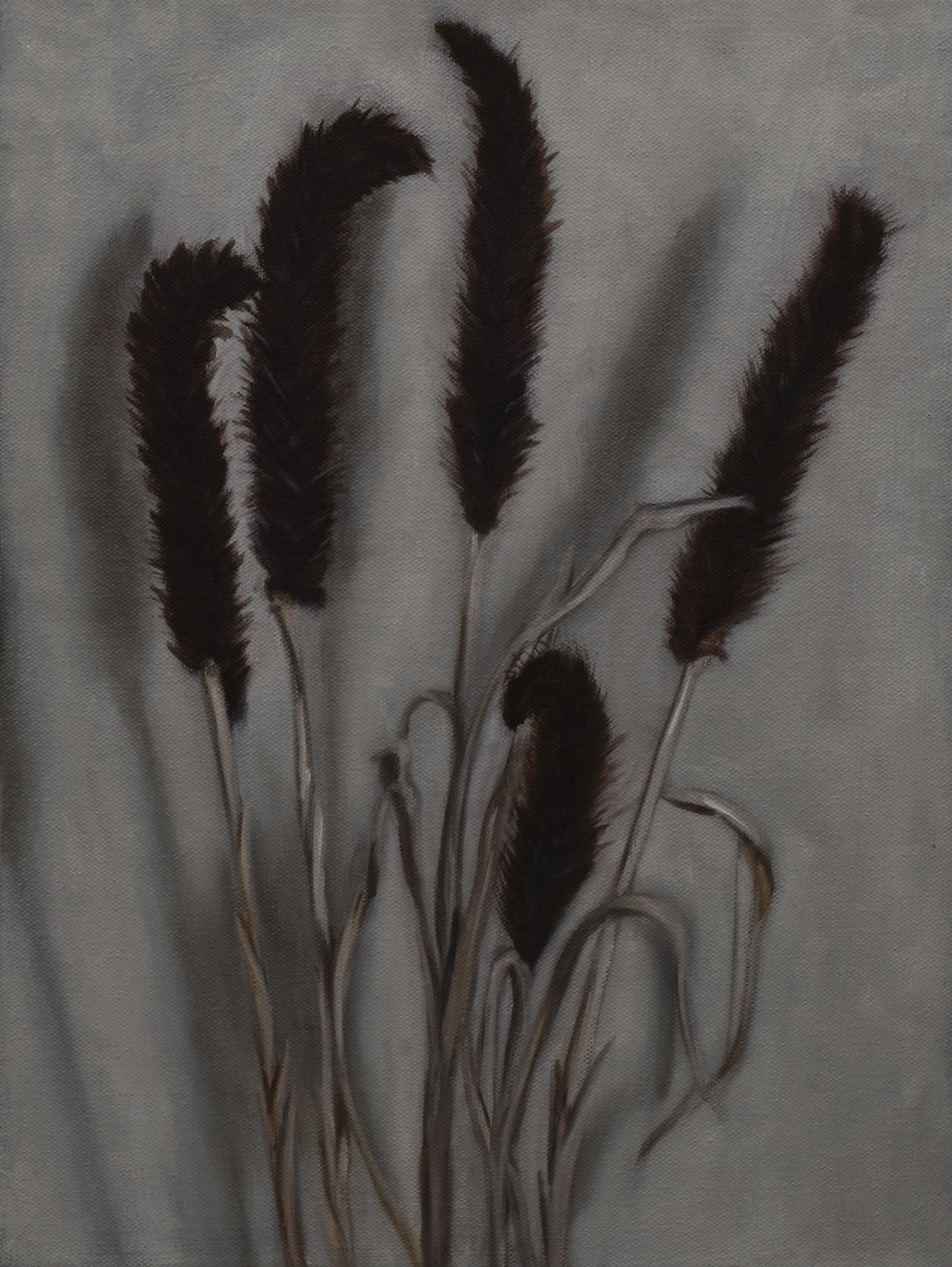 Still-life with Dried Flowers