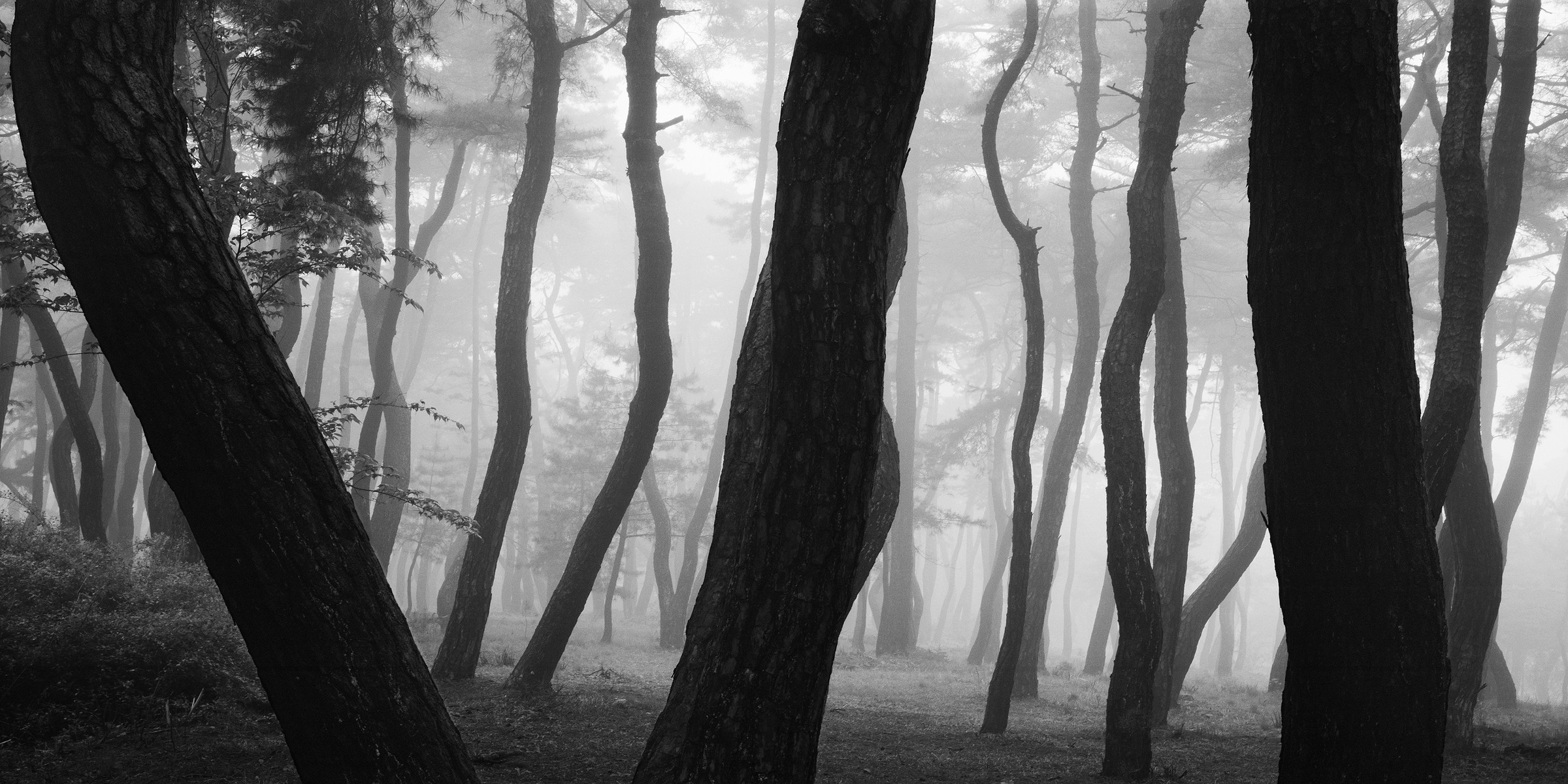 Sonamu Series - SNM5a-003h