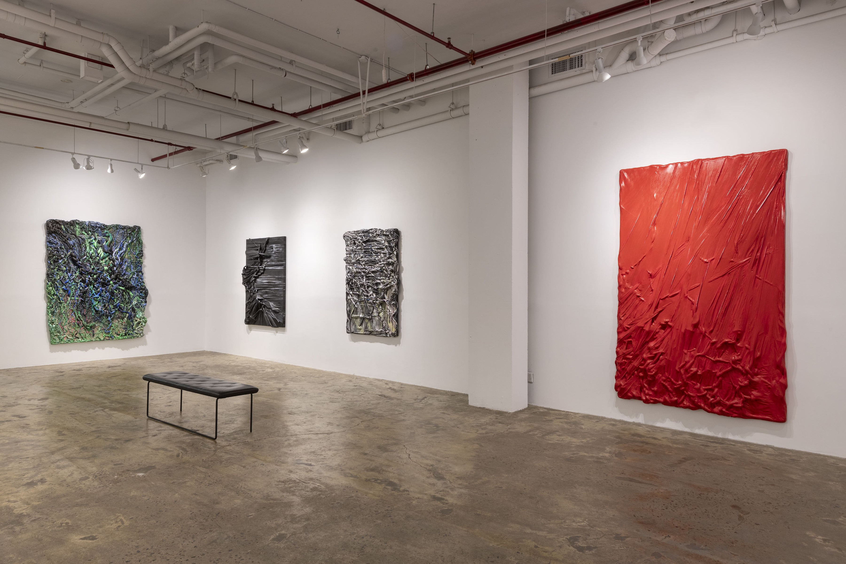 Installation View _ Coming Close _ works by Chellis Barid