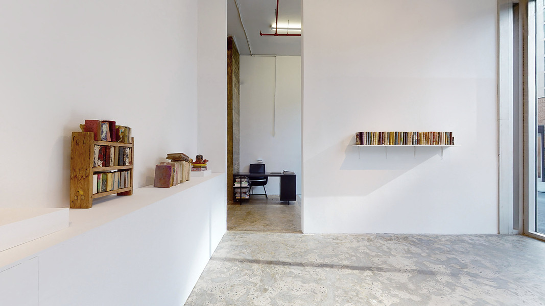 Installation View _ THESE BOOKS ARE PAINTINGS _ works by Stella Waitzkin