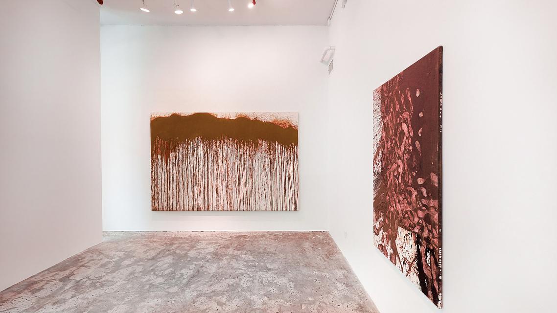 Installation View HERMANN NITSCH