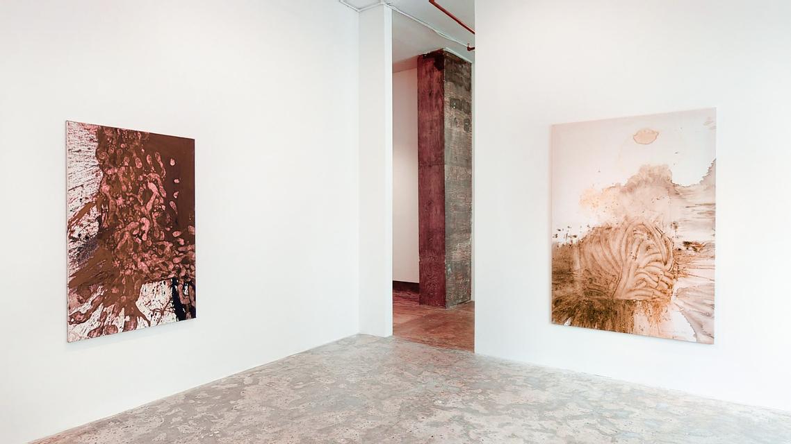 Installation View HERMANN NITSCH