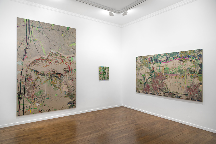 Installation View _ Exotic Homeland_ works by Paul Wesenberg _ Slag Gallery @ Galerie RX, Paris 