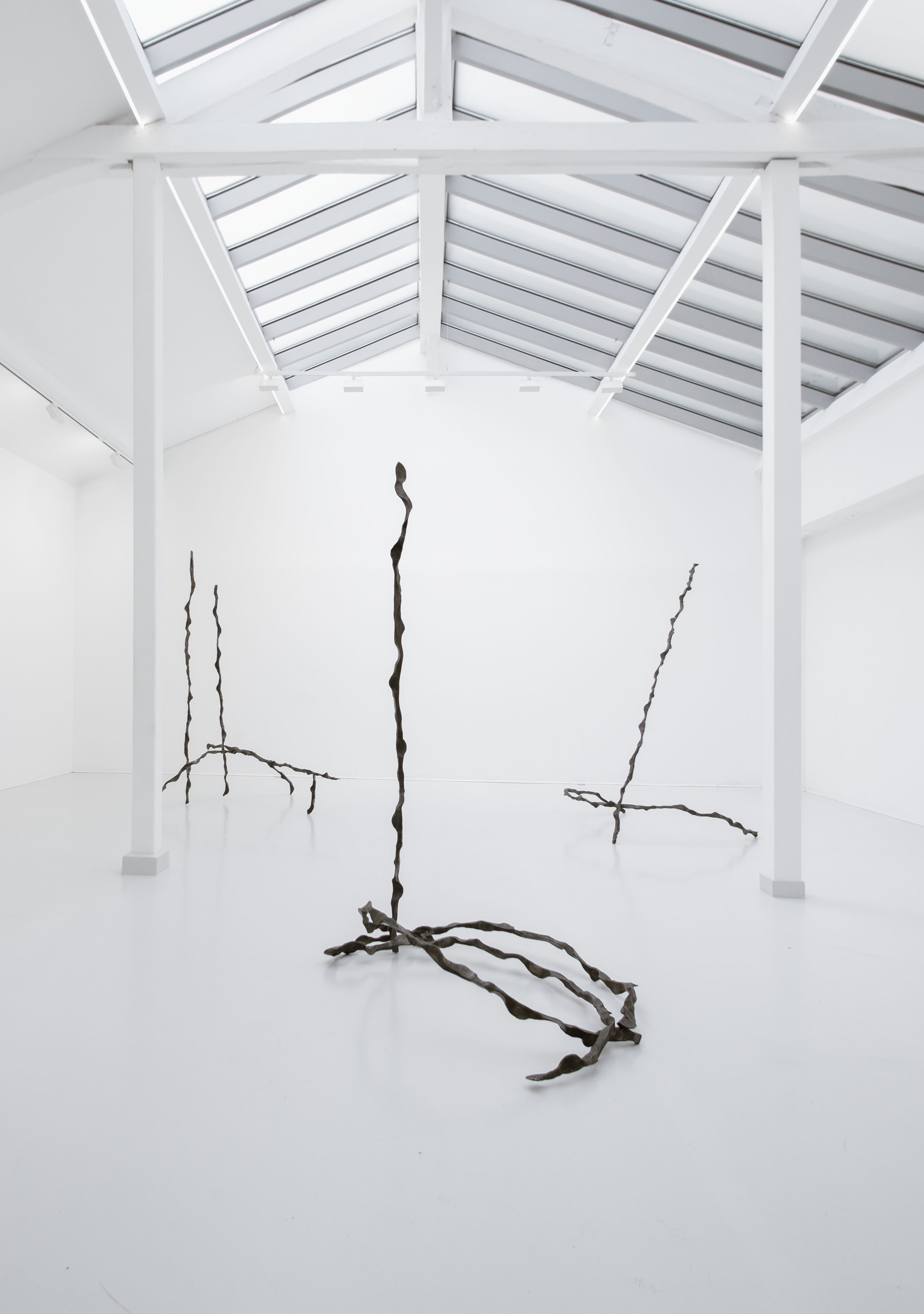 Equivalences et Uccello