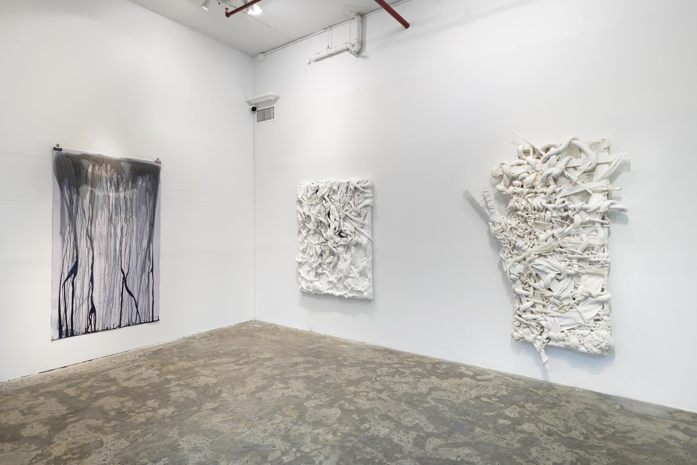 Installation View _ Coming Close _ works by Megan Dyer