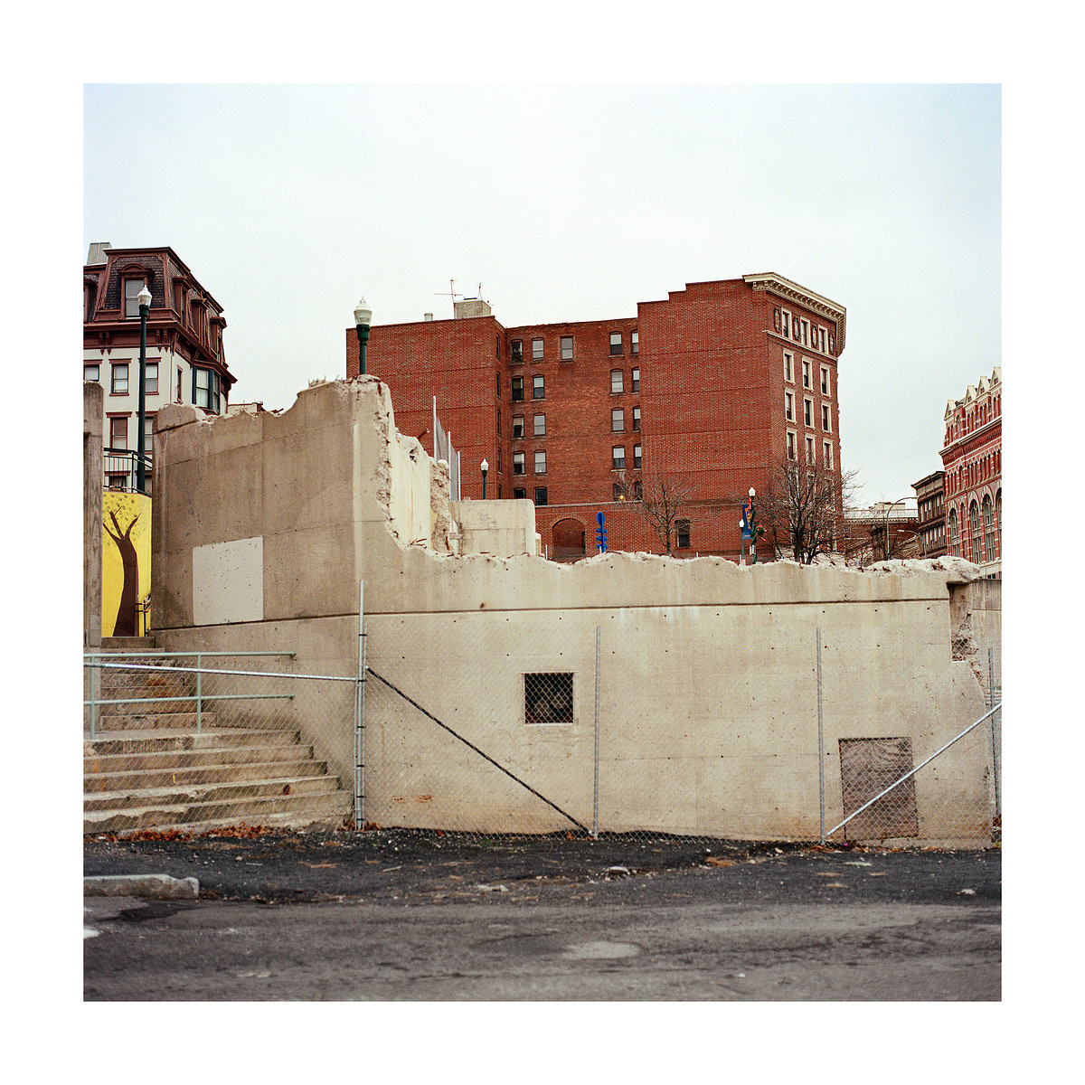 Yellow Tree Riverfront