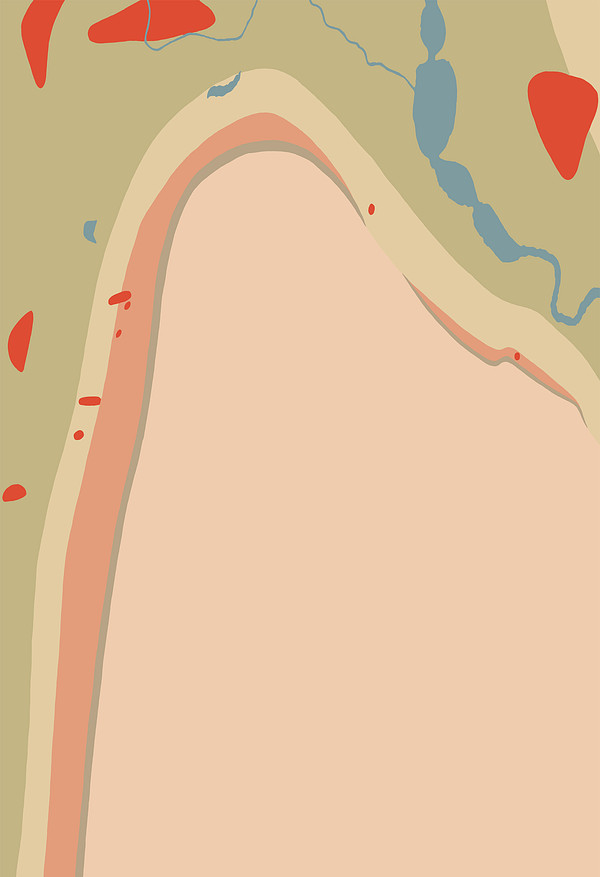 Detailed Geology Sheet VII