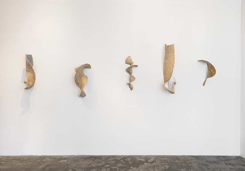 Disturbances_David Henderson_Installation View