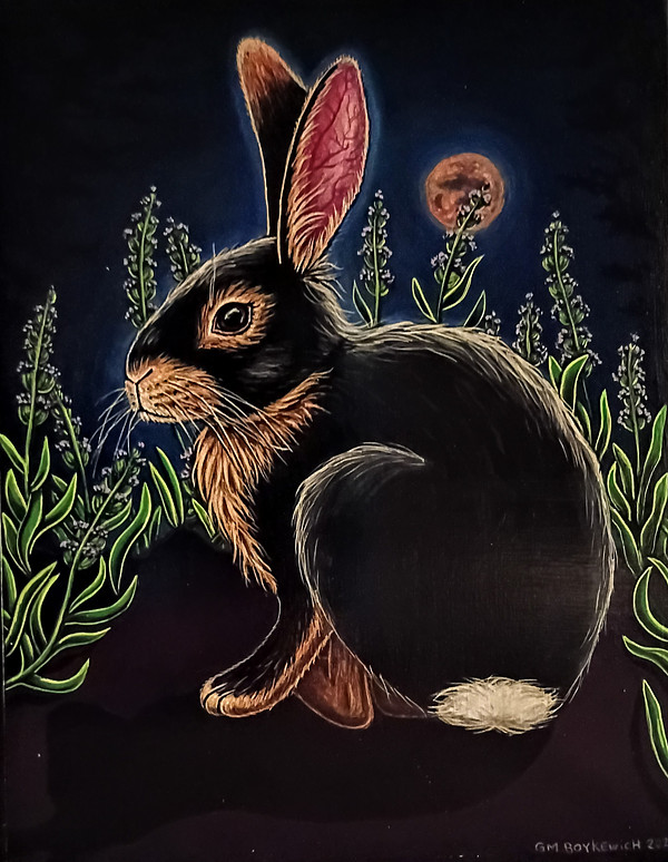 Ten Rabbit