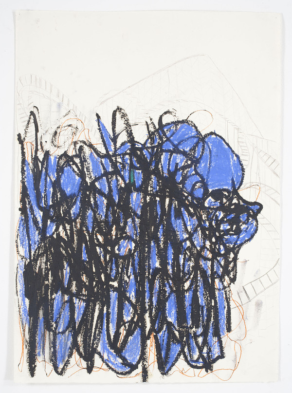 Emotional Rollercoaster 