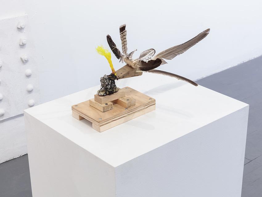 11 1/2 x 20 x 16''; Feathers, Rope, Wire, Toy Car, Screws, Wood, Glue, Cork, Stone; 2018