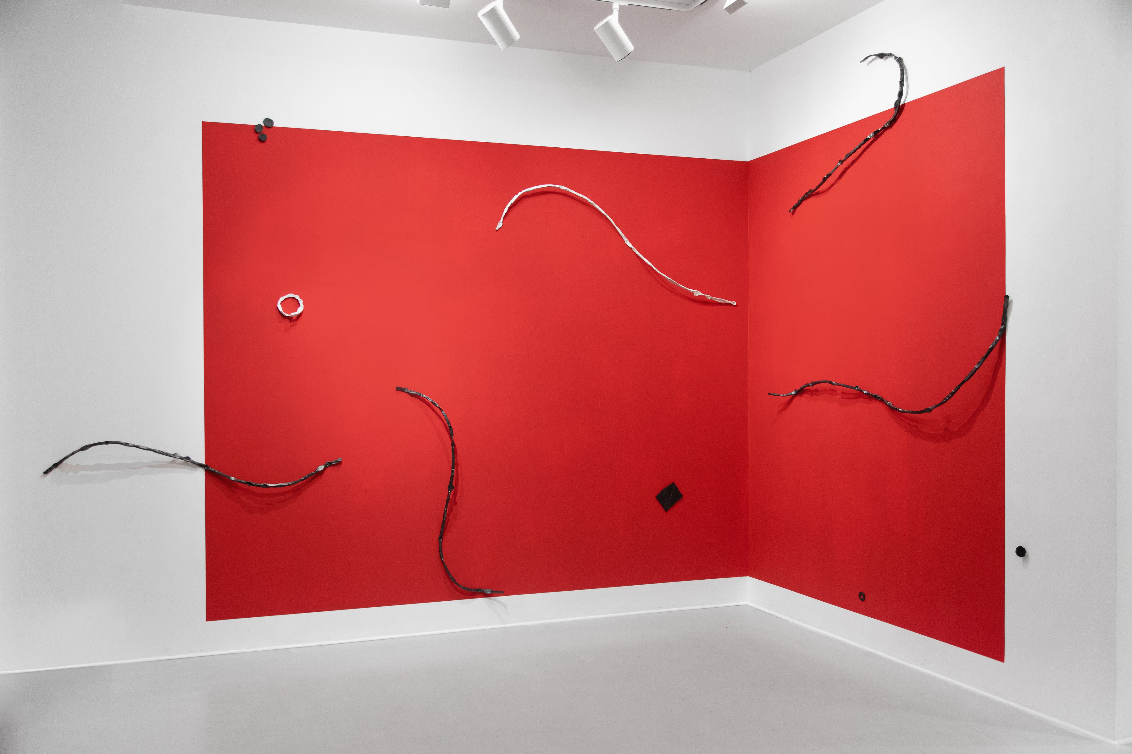 Dance for Howard Hodgkin