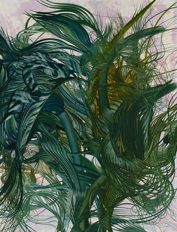 Tangle of Ferns and Forgotten Gods