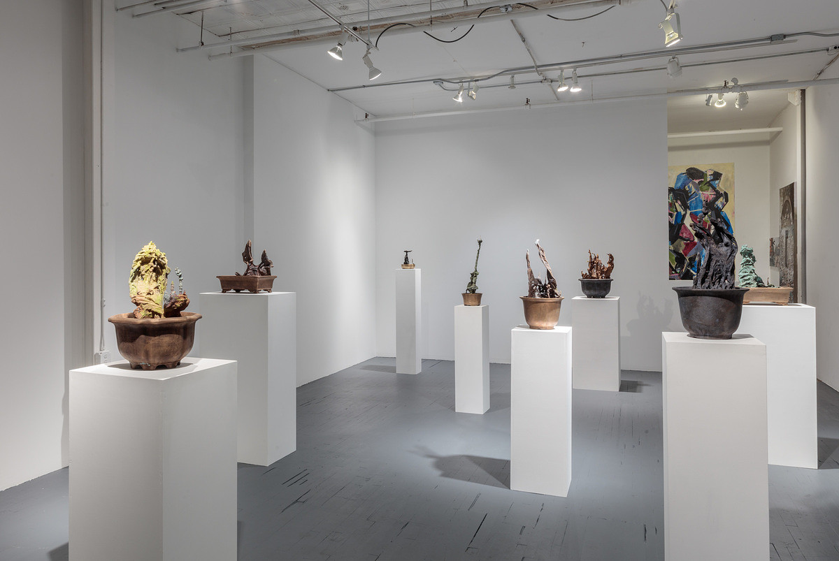 Natural Effect - Installation View