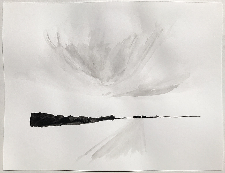 Street View: Bolivar Co., MS