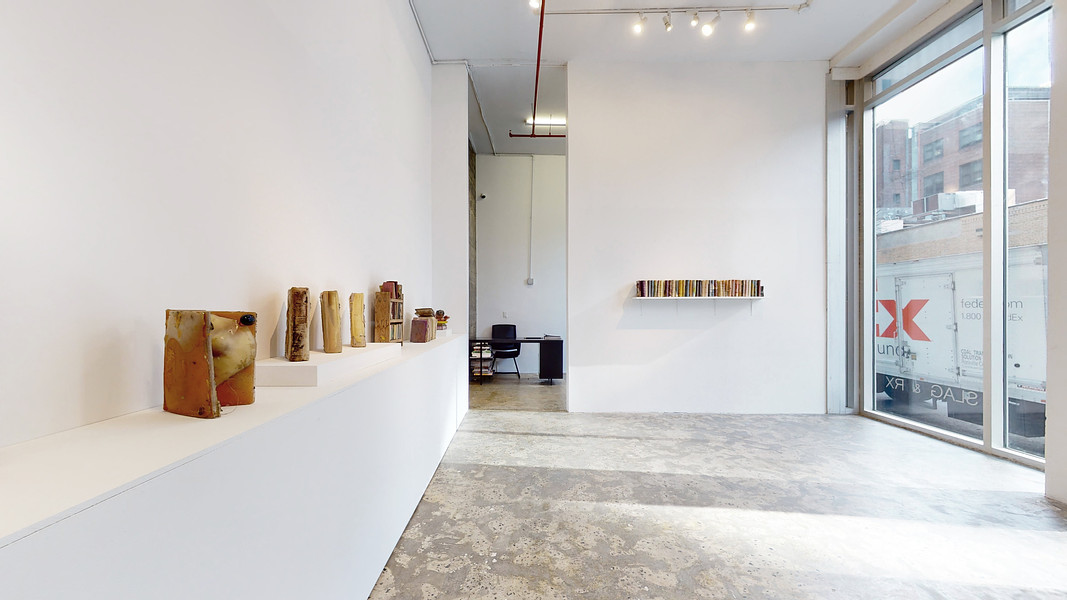 Installation View _ THESE BOOKS ARE PAINTINGS _ works by Stella Waitzkin