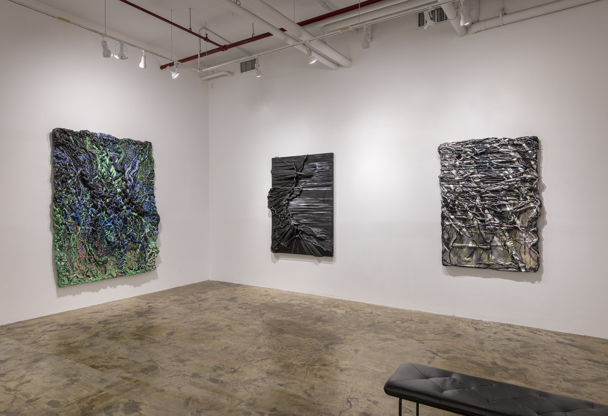 Installation View _ Coming Close _ works by Chellis Barid